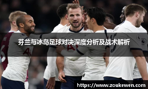 芬兰与冰岛足球对决深度分析及战术解析